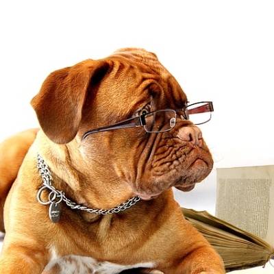 To be a Better Blogger, Read More