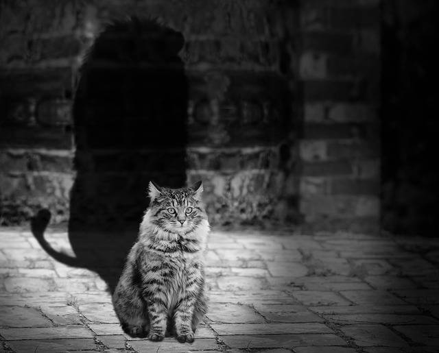 Can foreshadowing help your blog?
