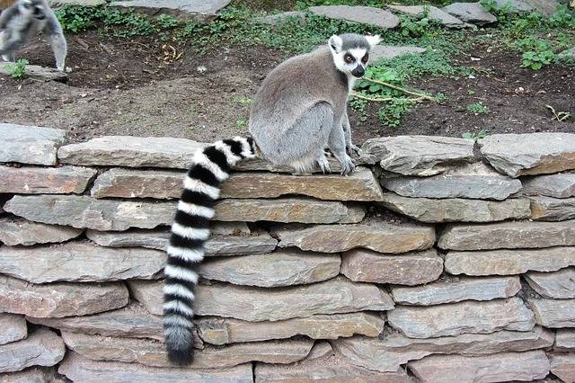 What the Heck is a Long-Tail Keyword?