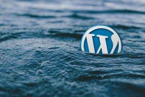 WordPress Gutenberg Editor: One Blogger's First Impressions