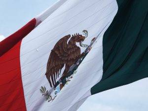 Mexican Grandmother Wasn't Acting as a Parent, Court Finds